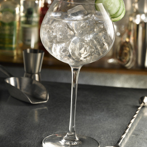 Gin Tonic