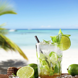Virgin Mojito